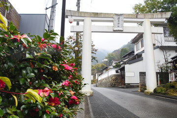 八代市・日奈久温泉神社の鳥居
