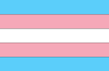 Obraz premium Transgender Flag Colors