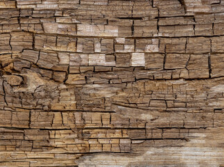 abstract texture of an old rotten spruce board. natural background