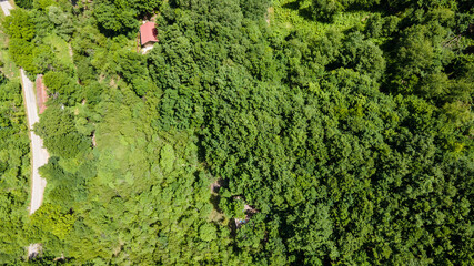 Fototapety na wymiar - Fototapeta24.pl