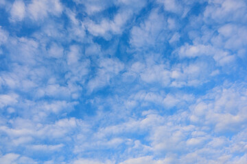 White clouds are forming beautifully across the blue sky with dramatic contrasts and a rare cloud pattern in winter. beautiful scenery background of white clouds on blue background in winter