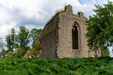 view of the Alvastra Abbey ruins in southern Sweden