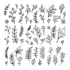 Fototapeta premium Floral ornaments doodle set. Hand drawn tree branches with leaves and flowers