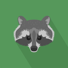 Raccoon on a green background.