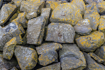 Close-up of mossy stones on a breakwater along the Delta Works. Rhine–Meuse–Scheldt delta, sunny day in South Holland and Zeeland, Netherlands
