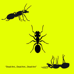 three ants: top view, side view, dead view. illustration vector.