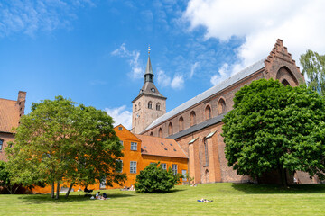 Fototapeta na wymiar the city park and cathedral of Saint Canute in Odense