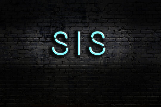 Night view of neon sign on brick wall with inscription sis