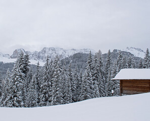 Fototapeta premium Background with snowy pine trees and a wooden cabin