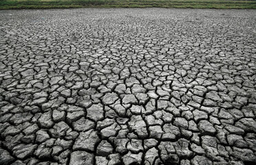 Wide cracked ground, waterless, no life, It's disaster  the worst drought in years                 ...