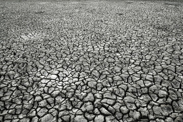 Textured of Cracks in the dried soil in arid season, Abstract natural background                   ...