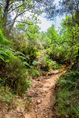 Obraz premium Le colorado Provençal de Rustrel