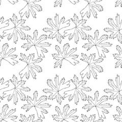 Seamless pattern. Vector illustration with leaves. Doodle sketch.