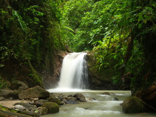 Slow motion of waterfall and river in forest Podocarpus National Park, Ecuador