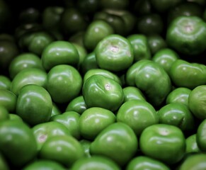 delicious tomato to prepare your favorite sauce