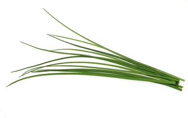 Allium schoenoprasum