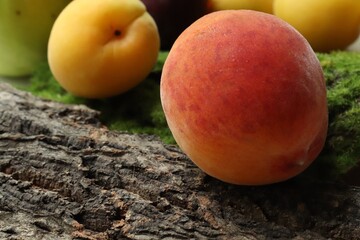 peach and apricots on the bark