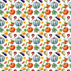 Watercolor seamless pattern with pumpkin, tomato and vegetables  on white background. Hand-painted. - 442786671