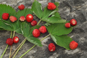 Pattern of forest wild strawberries and leaves