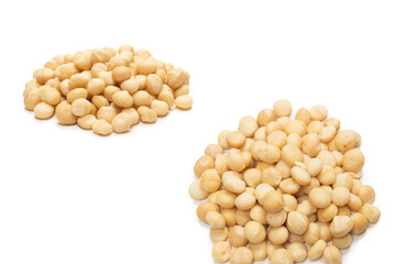 Macadamia nuts isolated on white background.