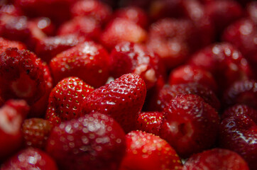 Bright juicy strawberry close-up. Growing berries in the garden, harvesting.