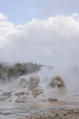 Grotto Geyser, Geothermal feature, Yellowstone National Park, Wyoming, USA