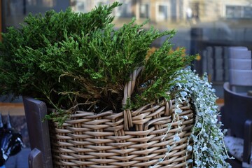flowers on the street, flower decoration in summer on the street