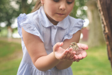 A girl in the park holds a small bird in her hands. Love to the animals. Conservation of the environment.