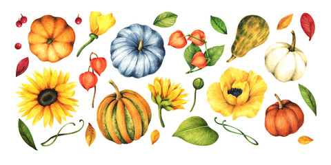 Floral set with a decorative sunflower and pumpkins. Watercolor illustration isolated on white background.