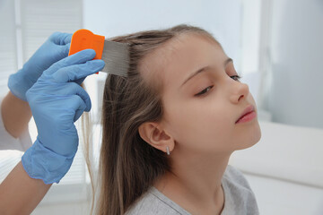 Doctor using nit comb on girl's hair in clinic. Anti lice treatment - obrazy, fototapety, plakaty