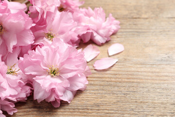 Naklejka na ściany i meble Beautiful sakura tree blossoms on wooden table, closeup. Space for text
