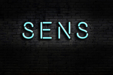 Night view of neon sign on brick wall with inscription sens © iushakovsky