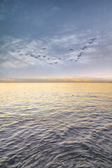 Sunset over the sea with Birds Flying