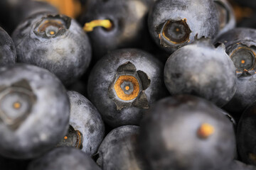 Macro closeup of isolated group fresh ripe raw blueberries