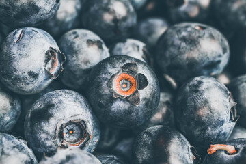 Macro closeup of isolated group fresh ripe raw blueberries