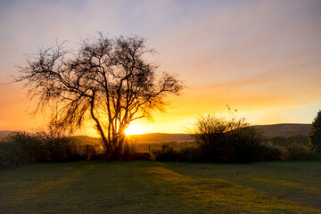 Fototapeta na wymiar sunset over farm fields with trees