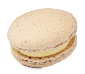 Beige macaron isolated on white. Delicious dessert