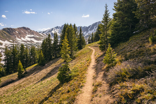 Hiking Trail in the Rocky Mountains, Colorado