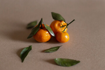 View of tangerines and leaves on the light background
