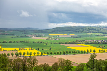Spring green landscape in Germany
