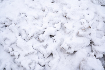 冬の初めに薄く積もった雪
