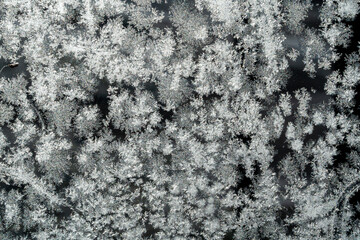 氷の結晶、黒背景