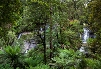 Fototapeta na wymiar Waterfall in the overgrown lush rainforest