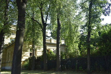 the facade of a historical building in the antique style