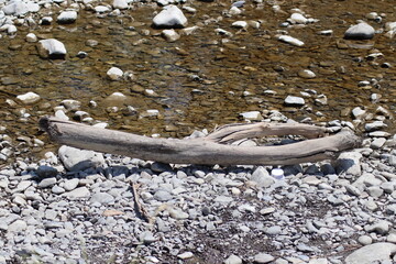 fish on the beach