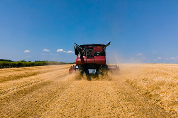 Combine harvester agricultural machine collecting golden ripe wheat on the field. Aerial view red...