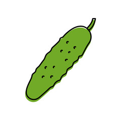 Cucumber. Vegetable sketch. Color simple icon. Hand drawn vector doodle illustration