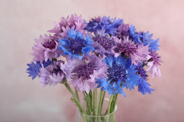 Bouquet of beautiful cornflowers in glass vase against pink background, closeup