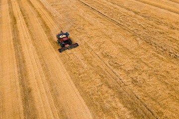 Aerial view of wheat harvest. Drone shot flying over combine harvesters working on wheat field. Harvester machine to harvest wheat field Work in process. A field after a harvest.