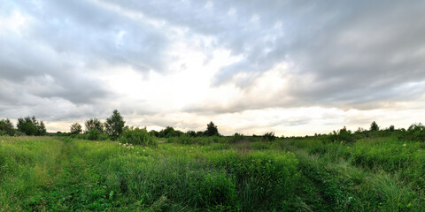 A summer walk through the forest, a beautiful panorama.
